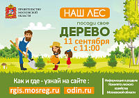 ПОСАДИ СВОЕ ДЕРЕВО